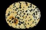 1.8" Polished Dalmatian Jasper Flat Pocket Stone  - Photo 3